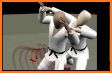 Aikido Test 4 kyu related image