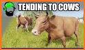 Cow Life - Animal Simulator related image