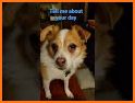 Pet Chat related image