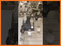 Kay Jewelers Shopping related image
