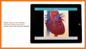 CardioVisual: Heart Health Built by Cardiologists related image