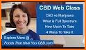 Best Free CBD Oil Guide Course for Beginners related image
