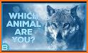 Which animal are you? Test related image