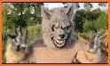 Wolfy Werewolf related image
