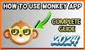 Monkey Video Chat Online related image