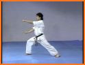 All Karate Katas related image
