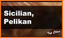 Sicilian Defense: Pelikan variation related image