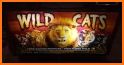 Wild Cats Slot Machine related image