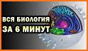 МедБаза Медицинская Энциклопедия related image