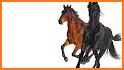 Horse Hotels related image