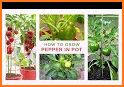 Plant Care Planner related image