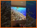 HD Projector with video call related image