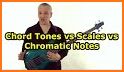 Bass Chords & Scales related image