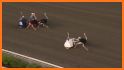 Ostrich race 3D related image
