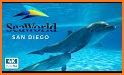 VR Guide: SeaWorld, San Diego related image