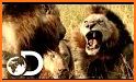 Lion Cinema - Movies HD & TV Show related image