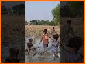 PlotShort related image