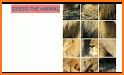 Guess the Animal Puzzle related image