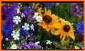 EcoGuide: Russian Wild Flowers related image