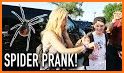 instant call prank from jojo siwa: Fake video call related image