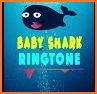 baby shark ringtone related image