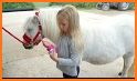 Magic Little Horse Daily Caring related image