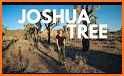 Hiking Guide: Joshua Tree related image