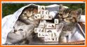 Mahjong Animal 2019 related image