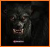 Animal AR Video & Soundboard related image