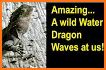 Waving Dragon related image