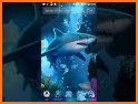 Shark Launcher Theme related image