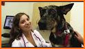 Princeton Veterinary Hospital related image