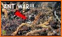 Ant Colony related image