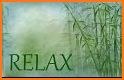 Relax Melodies: Sleep, Forest & Relaxing Sounds related image