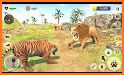 Lion Games 3D: Jungle King Sim related image