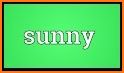 Sunny Words related image