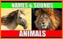 Animals for kids - sounds + pictures related image