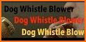 Dog Whistle for Dog Training with High Frequency related image