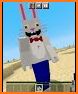 Mr Hopps for PE related image