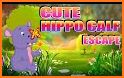Adorable Hippo Calf Escape related image