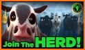 The Big Farm Theory related image