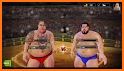 Sumo Wrestling 2020: Live Fight Arena related image