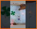 Bulb and Switch A game for all related image
