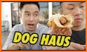 The Dog Haus related image