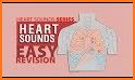 Heart Sounds And Murmurs related image