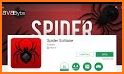 Spider Solitaire - Card Games Free related image