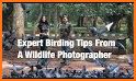 Birding Trail related image