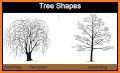 Virginia Tech Tree ID related image