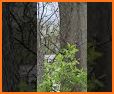 Squirre lville related image
