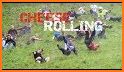 Rolling guy related image